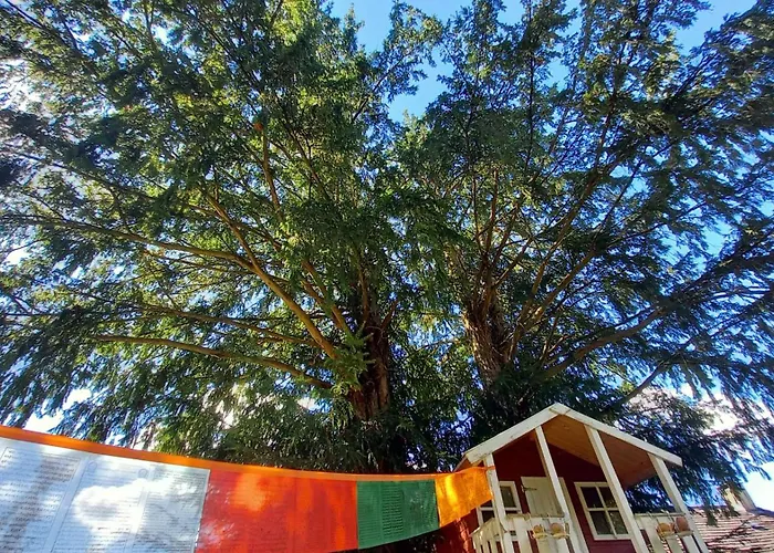 Auszeit Im Eibenhaus Appartement